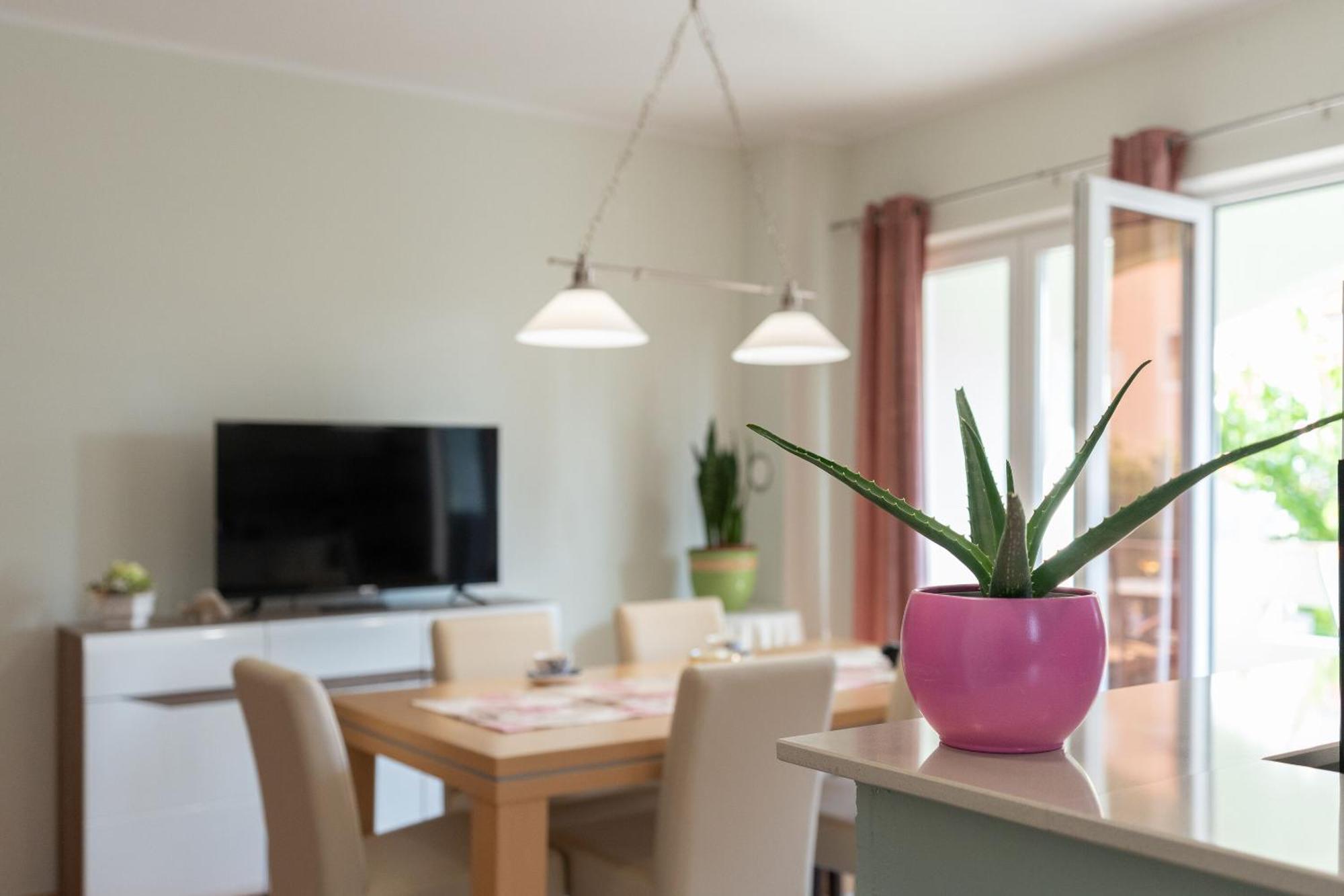 Apartments Jasna 노바야 외부 사진